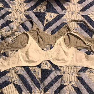 Fruit of the Loom 36D Cotton Bras